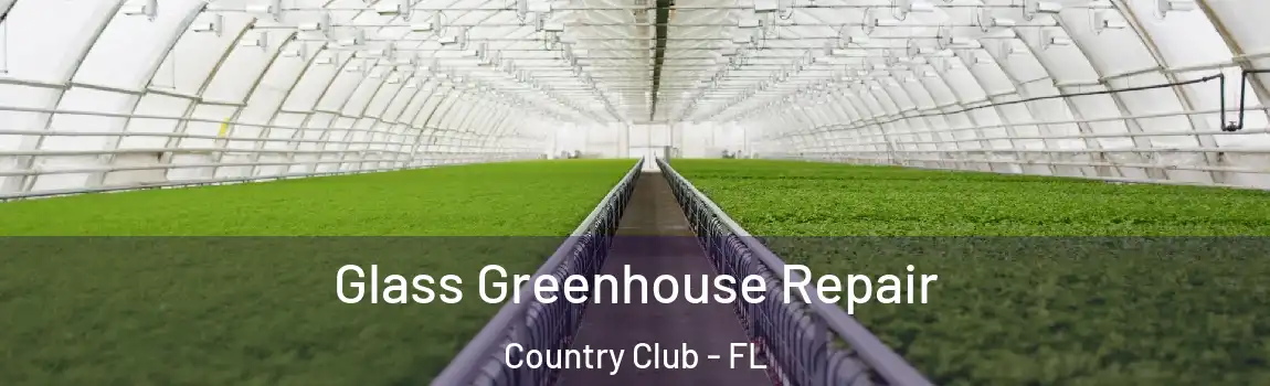 Glass Greenhouse Repair Country Club - FL